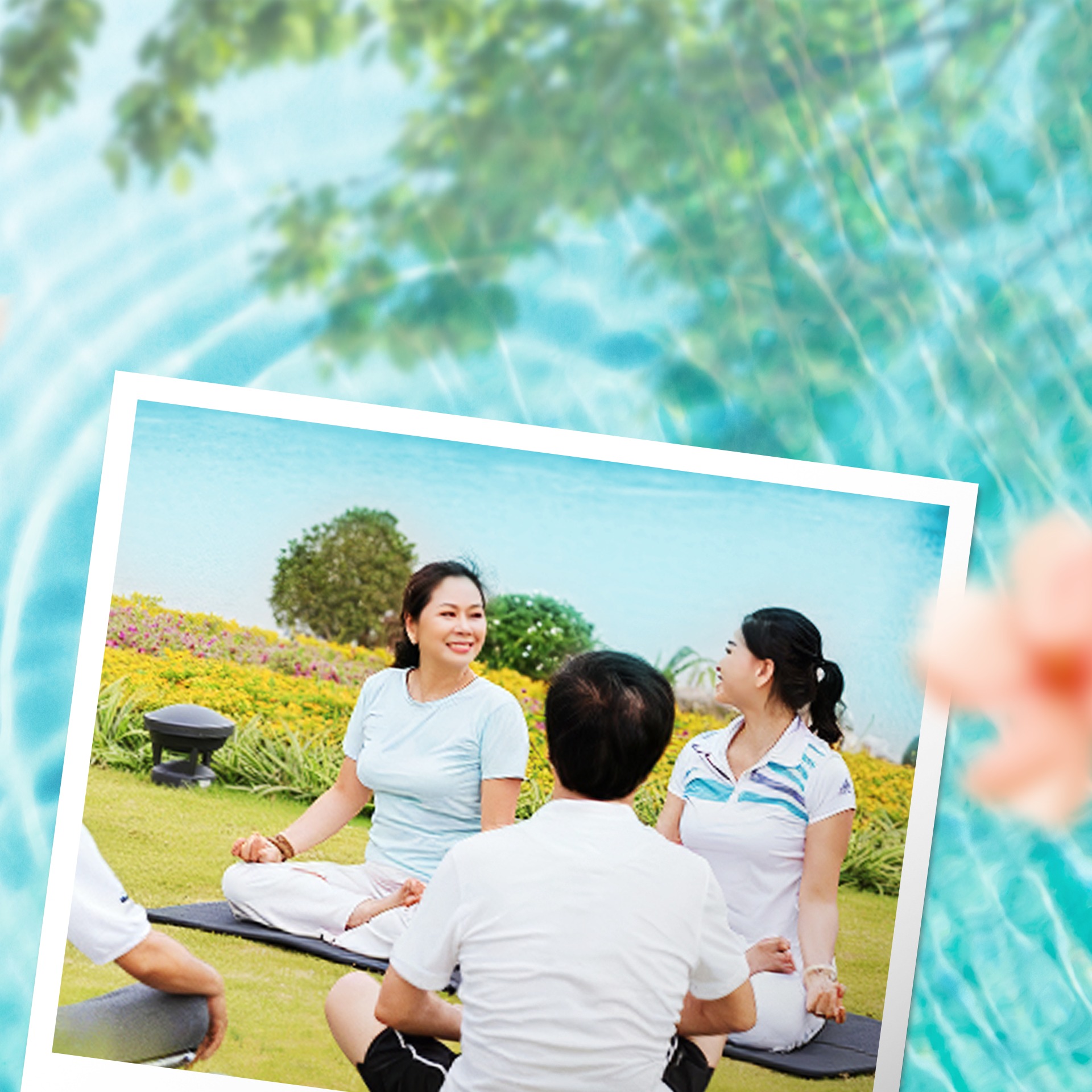 The Swan Lake - Nơi hội tụ muôn sắc sống