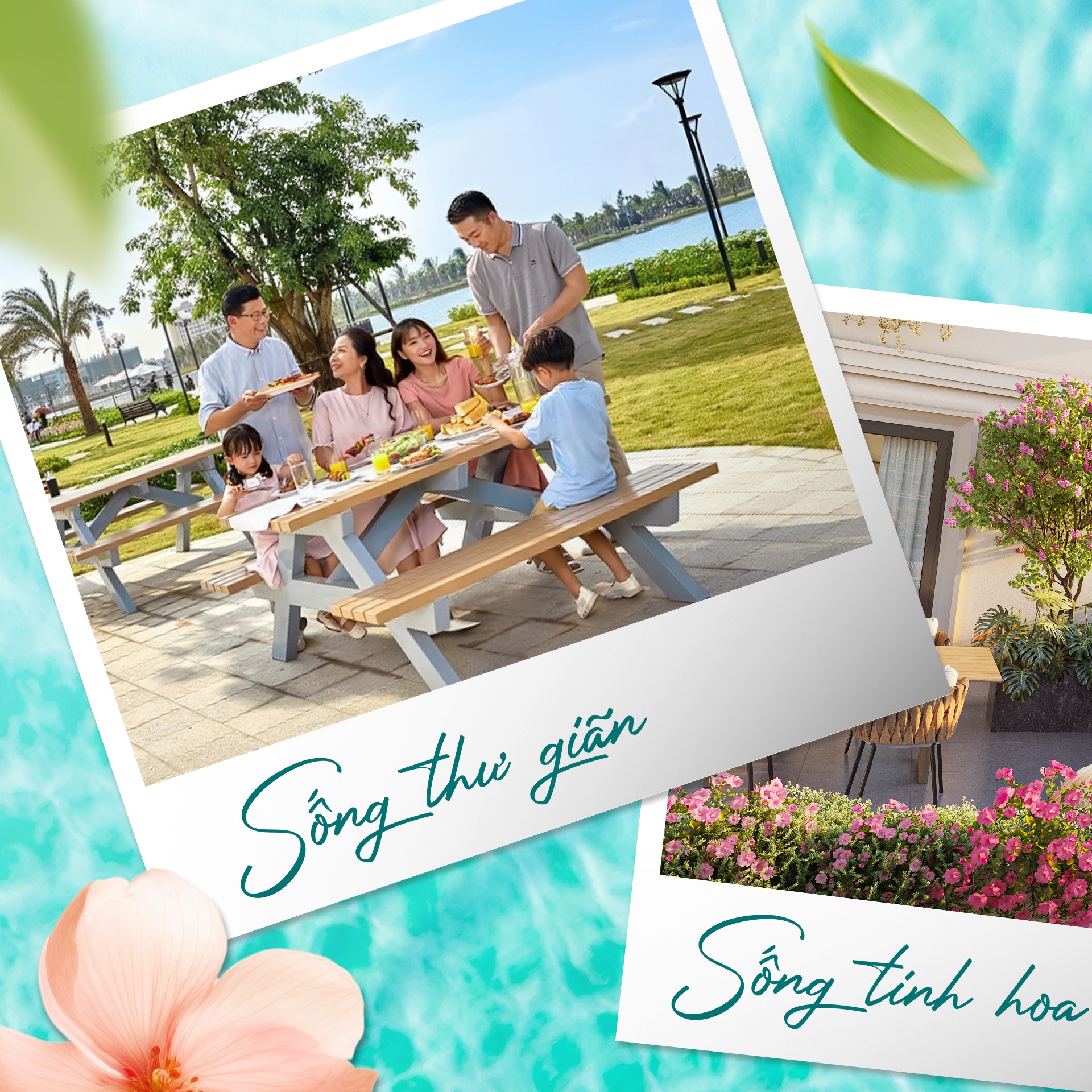 The Swan Lake - Nơi hội tụ muôn sắc sống