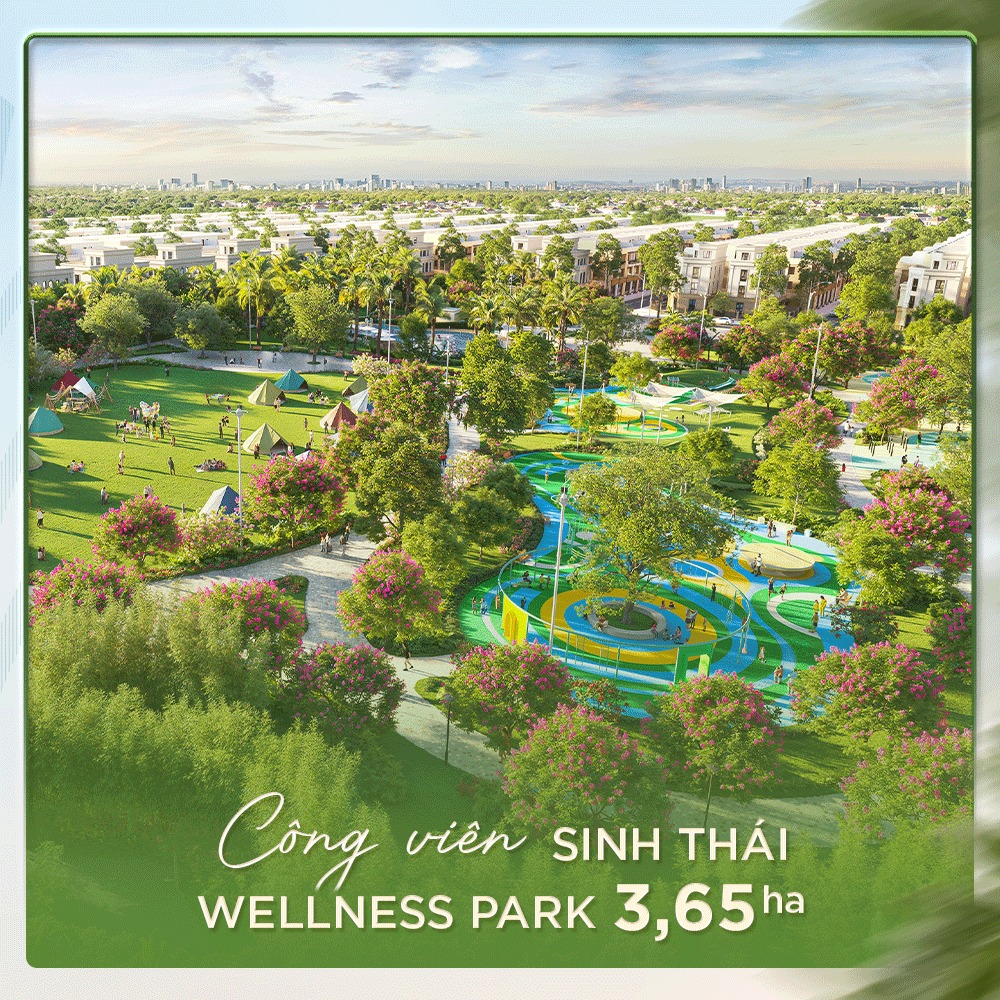 The Forest - Nơi phồn vinh nảy mầm từ tâm điểm Tây Bắc TP. Hồ Chí Minh