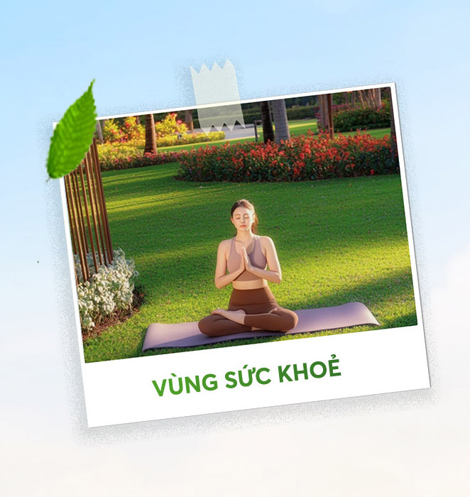 Giữa lòng Thành phố sống đầy rợp hoa và nắng
