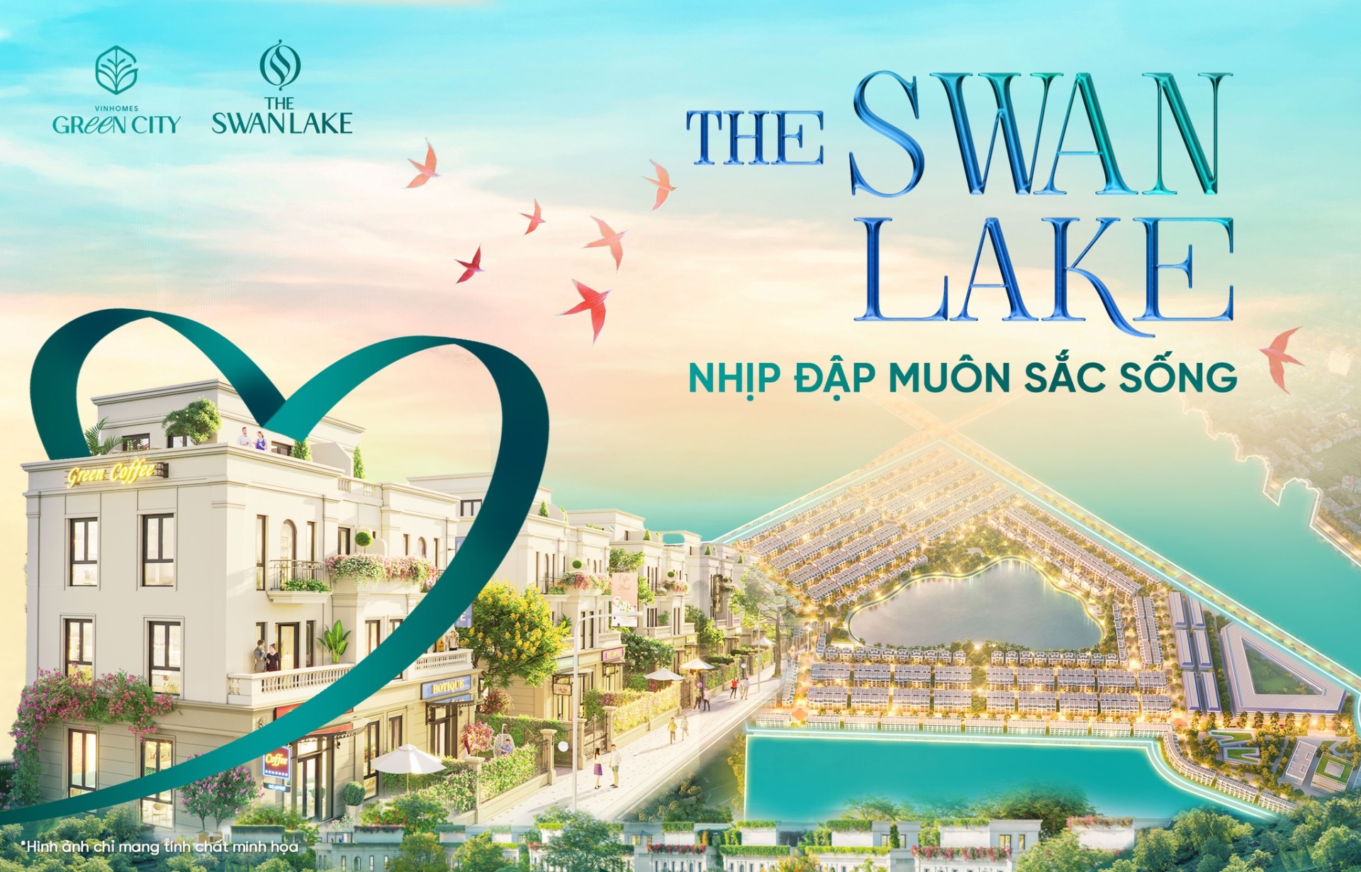The Swan Lake - Nhịp đập muôn sắc sống
