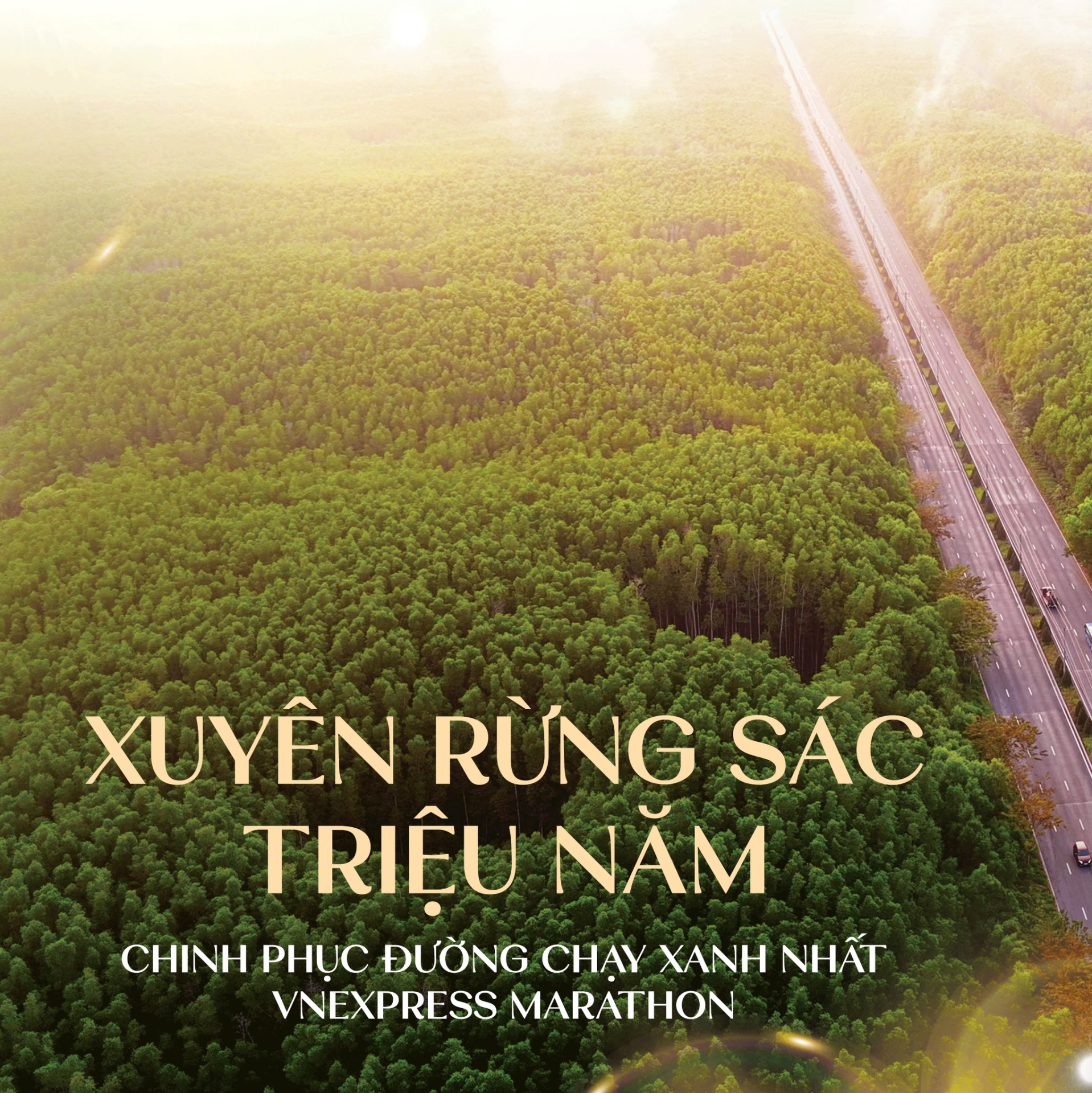 Khi bước chân chạm vào di sản triệu năm