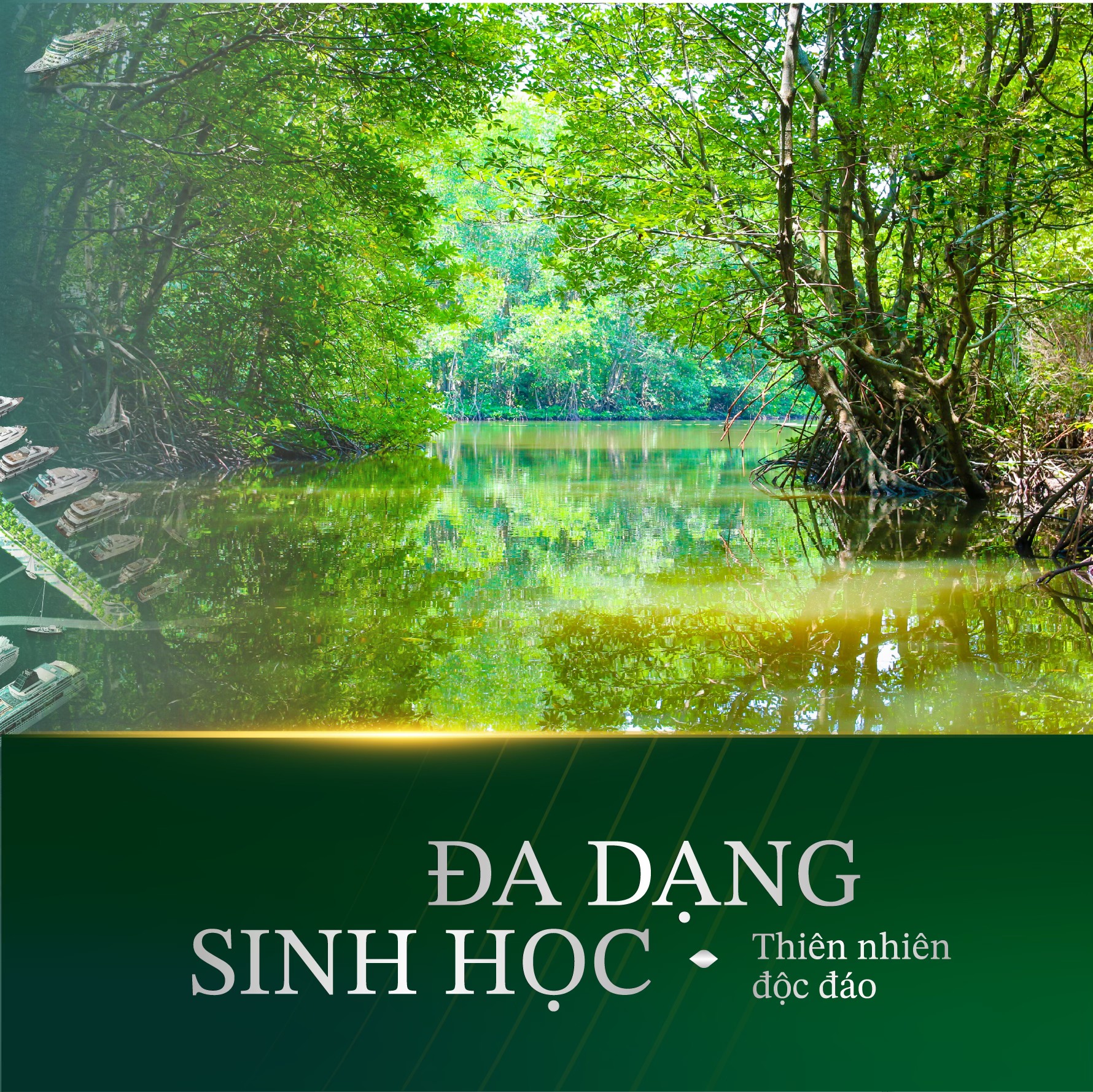 Vinhomes Green Paradise Cần Giờ - Vị thế độc tôn, Tựa Rừng - Hướng Biển