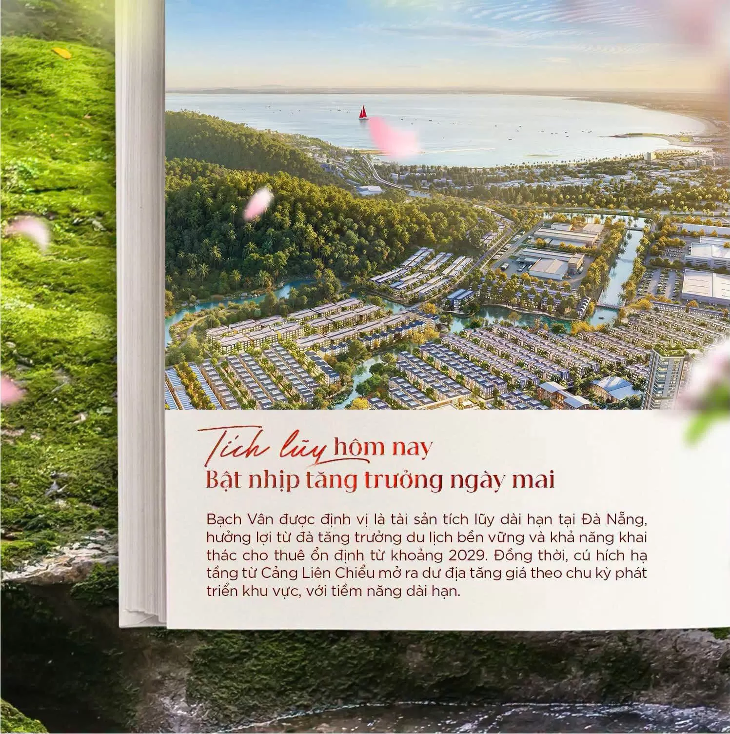 Bộ sưu tập 