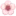 🌸