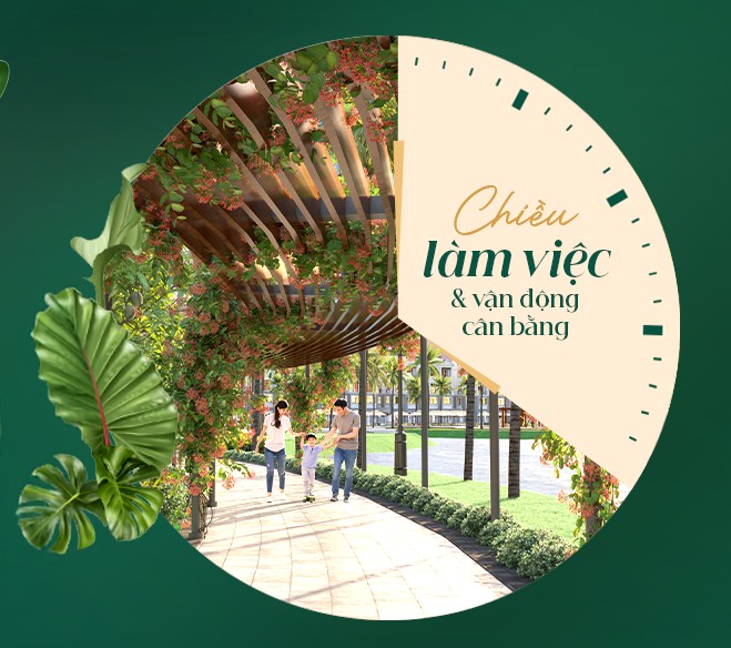 24h Wellness Lifestyle - Cảm nhận trọn chất Vịnh Xanh