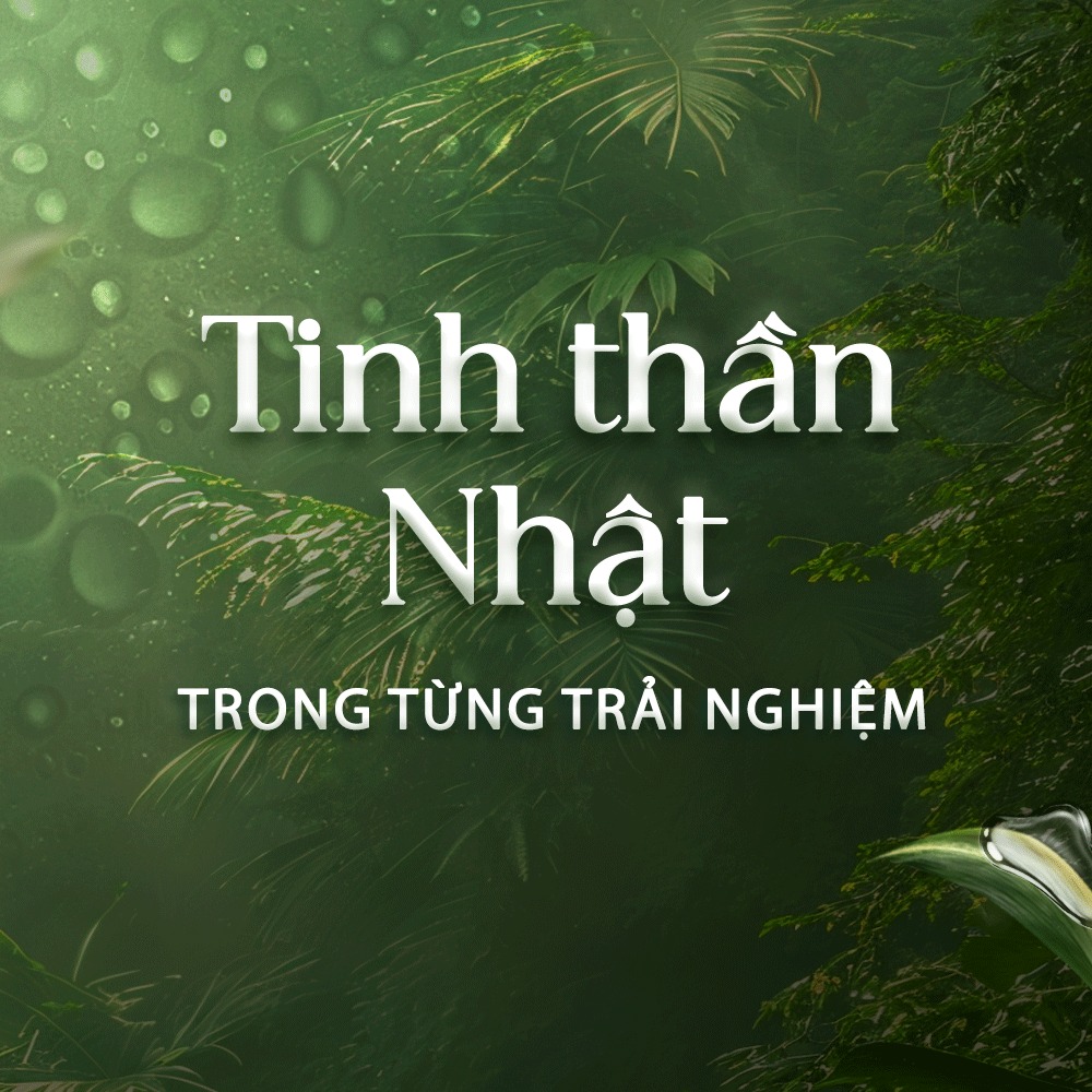 Mua 1 được 3 - Nhận trọn gói tinh hoa với The Komorebi