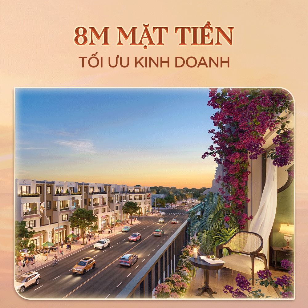 The 8:120 Collection - Bản đồ tài chính trong tay nhà đầu tư