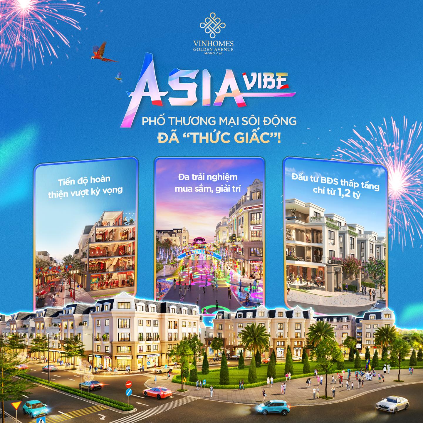 Asia Vibe - Phố thương mại sôi động đã 