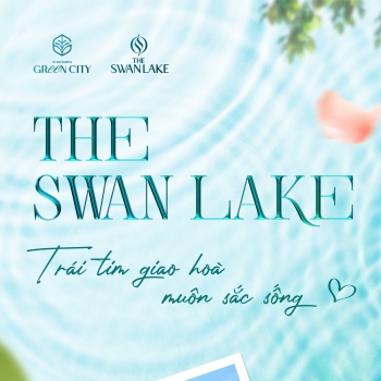 The Swan Lake - Nơi hội tụ muôn sắc sống