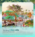 The Swan Lake - Nhịp đập muôn sắc sống