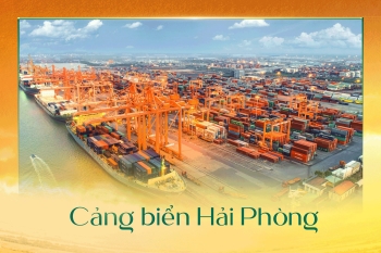 Boutique Home: Hệ sinh thái Cảng biển - Công nghiệp - Đô thị