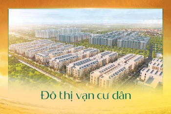 Boutique Home: Hệ sinh thái Cảng biển - Công nghiệp - Đô thị