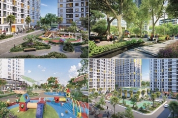 Khu thể thao phức hợp - Hồ điều hòa - Trung tâm thương mại - Công viên giải trí