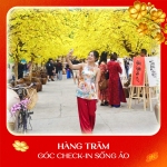 Hé lộ loạt trải nghiệm choáng ngợp đầu tiên tại Green Paradise Tết Fest