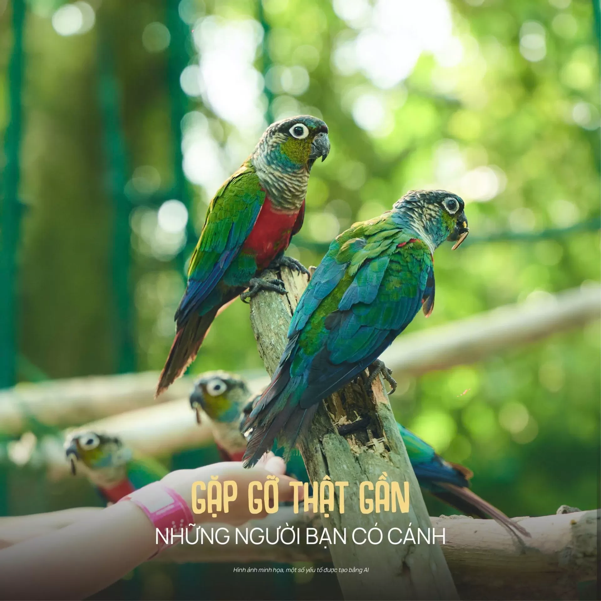 Khám phá nhà chim 3ha - Nơi năm châu hội tụ tại VinWonders Cần Giờ!