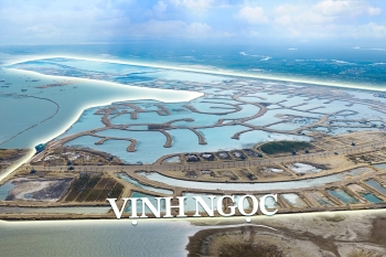 Tiến độ thi công Vinhomes Green Paradise Cần Giờ tháng 6/2026 - Toàn cảnh siêu đô thị biển Quốc tế lộ diện ngày một rõ nét