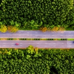 Khi bước chân chạm vào di sản triệu năm