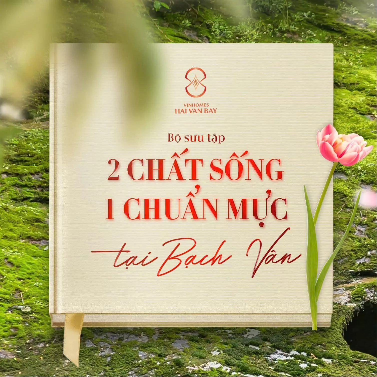 Bộ sưu tập 