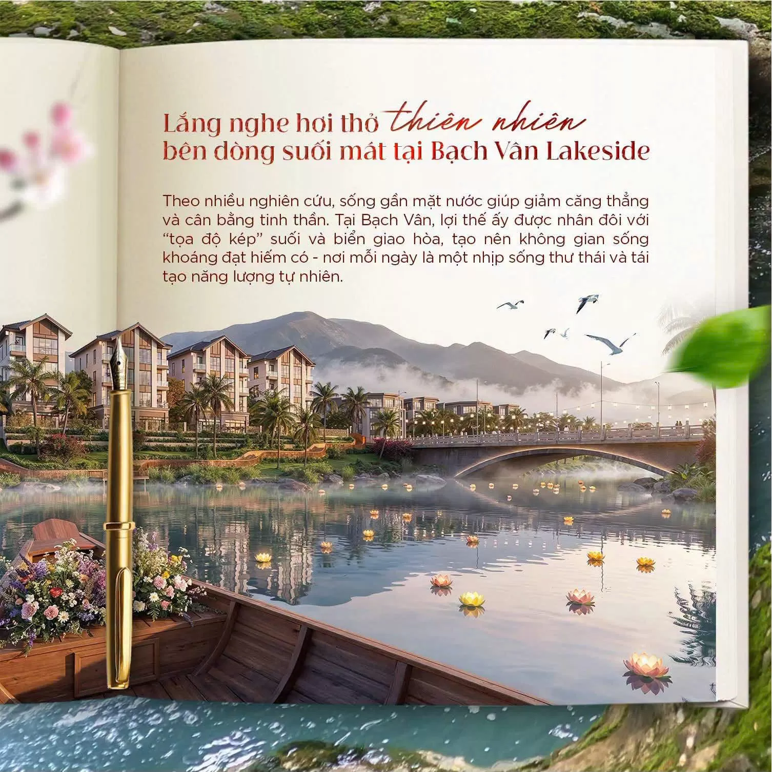 Bộ sưu tập 