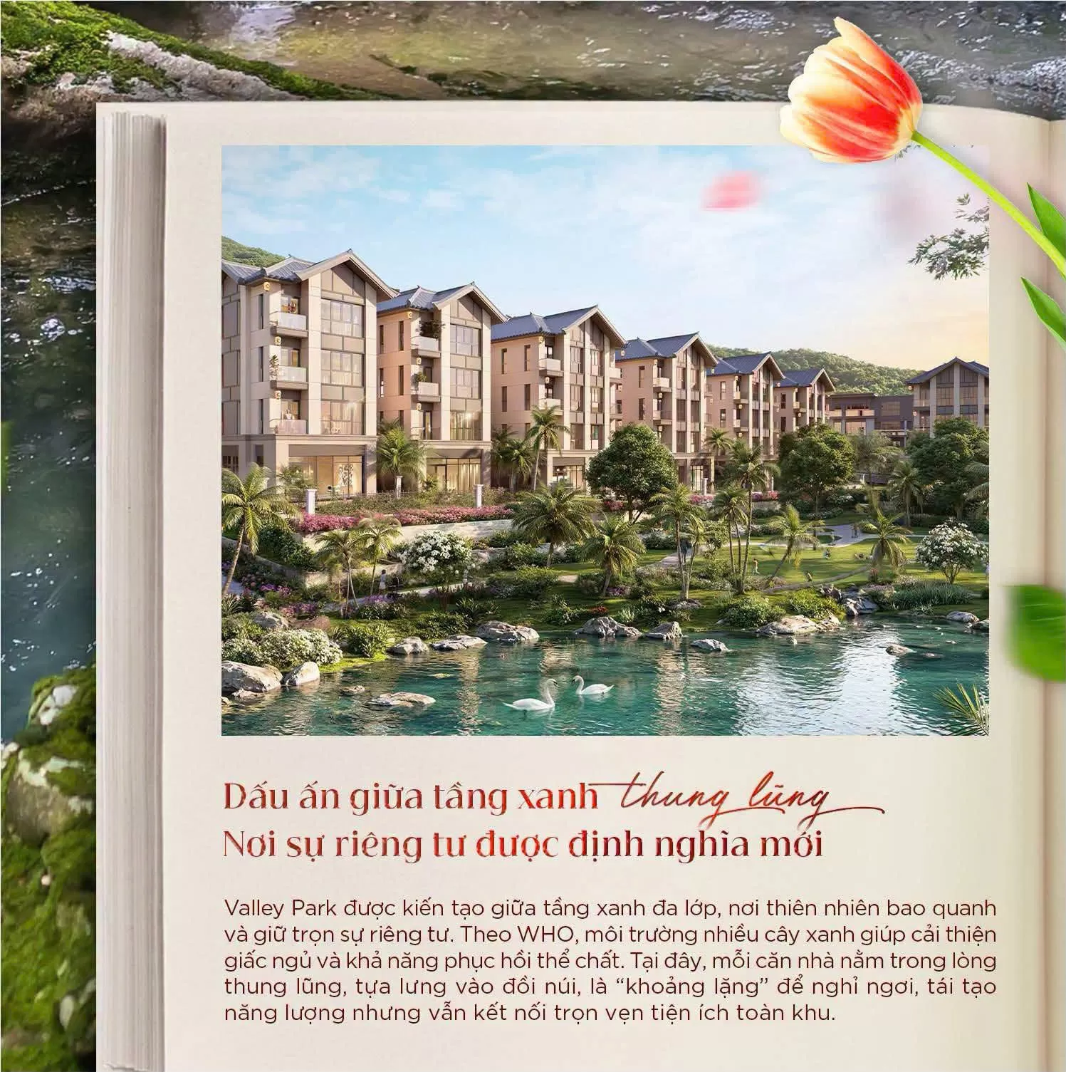 Bộ sưu tập 