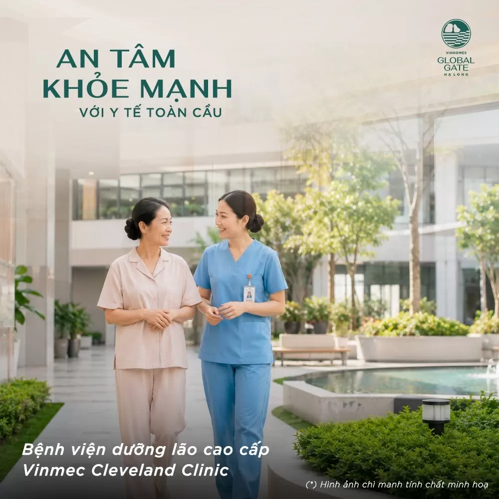 Vin New Horizon: Tuổi vàng 