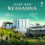 Từ siêu đô thị đến siêu vùng: Khi 