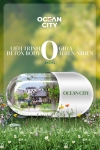 Ocean City - Liệu trình detox 0 đồng giữa thiên nhiên