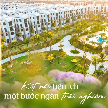 Vịnh Xanh: Nơi những kết nối tạo nên chất sống trọn vẹn