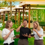 Vịnh Xanh - Chốn an cư của những tầm nhìn mới