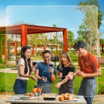 Vịnh Xanh - Đón đông trọn vẹn an yên