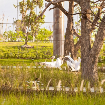 VinWonders Vũ Yên - Tâm điểm giải trí của Vinhomes Royal Island dần lộ diện