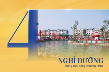 Bộ DNA All-in-One tạo nên đảo đô thị khác biệt