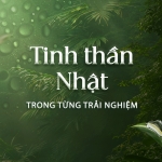 Mua 1 được 3 - Nhận trọn gói tinh hoa với The Komorebi