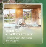 Giai điệu thiên nhiên - Sắc màu quốc tế