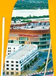 Đảo Vua đẹp rực rỡ & tràn đầy sức sống - Cảnh quan, tiện ích đã xong, tấp nập đón dây về ở