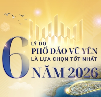 6 lý do Phố đảo Vũ Yên là lựa chọn tốt nhất năm 2026