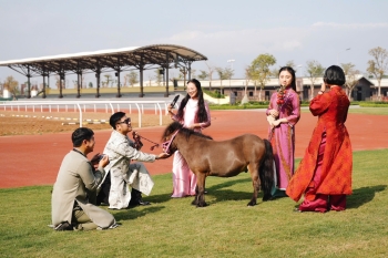 Xuân Bính Ngọ - Check-in áo dài cùng Tuấn Mã
