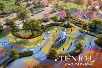 Bộ sưu tập 