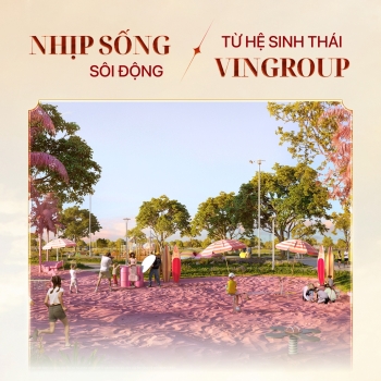 Dòng khách khổng lồ - Bí mật sinh lời của The 8:120 Collection