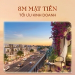 The 8:120 Collection - Bản đồ tài chính trong tay nhà đầu tư