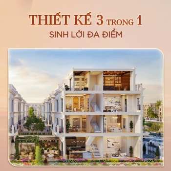 The 8:120 Collection - Bản đồ tài chính trong tay nhà đầu tư