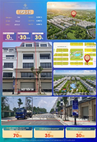 TP3-24, Shophouse, Bàn giao Thô, Hướng Nam, Phân khu Asia Vibe, Vinhomes Golden Avenue