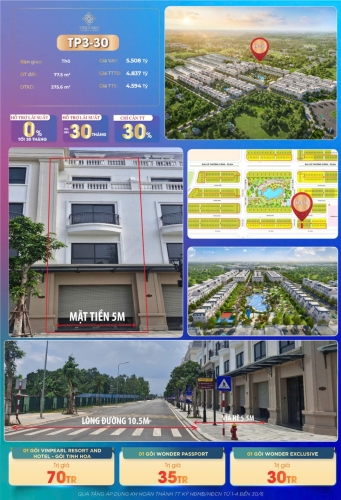 TP3-30, Shophouse, Bàn giao Thô, Hướng Nam, Phân khu Asia Vibe, Vinhomes Golden Avenue