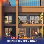 Bản giao hưởng trên mây giữa phố thị không ngủ