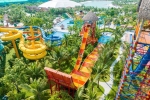 Đồng giá 50k-70k/vé vào cửa 2 công viên VinWonders Wave Park & VinWonders Water Park